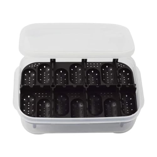 predolo Reptilien Brutbox Und Brutkasten für Reptilieneier Echsen Aufzuchtbox als Python Zuchtbedarf Leicht zu Reinigen für Zoohandlungen Und die Heimische, Schwarz von predolo