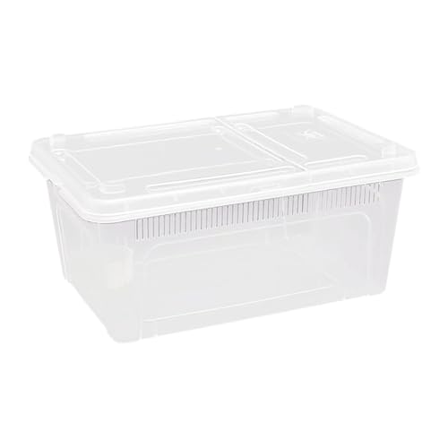 predolo Reptilien Futterbox, Brutbehälter, Tragbar, Durchsichtig, Terrarium Lebensraum, Brutbox für Frosch, Schildkröte, Skorpion, Tier, 27x18.8x12cm predolo Reptilien Futterbox, Brutbehälter, Tragbar, Durchsichtig, Terrarium Lebensraum, Brutbox für Frosch, Schildkröte, Skorpion, Tier, 27x18.8x12cm von predolo