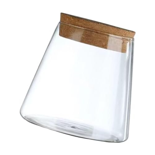 predolo Tischvase aus Glas, Hydrokulturvase, minimalistisch, glatt von predolo