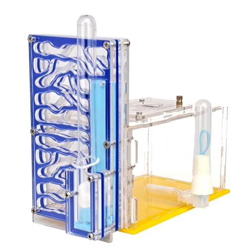 predolo Zuchtgehäuse mit Futterspielzeug, Lern Acryl Ameisenfarm Lebensraum für Wissenschaftliche Beobachtungsdekoration auf Dem Tisch, Blau predolo Zuchtgehäuse mit Futterspielzeug, Lern Acryl Ameisenfarm Lebensraum für Wissenschaftliche Beobachtungsdekoration auf Dem Tisch, Blau von predolo