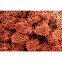 Qualität Konserviert Rentier Moos | 500G Sienna Oder Schwarz von preserveddriedplants