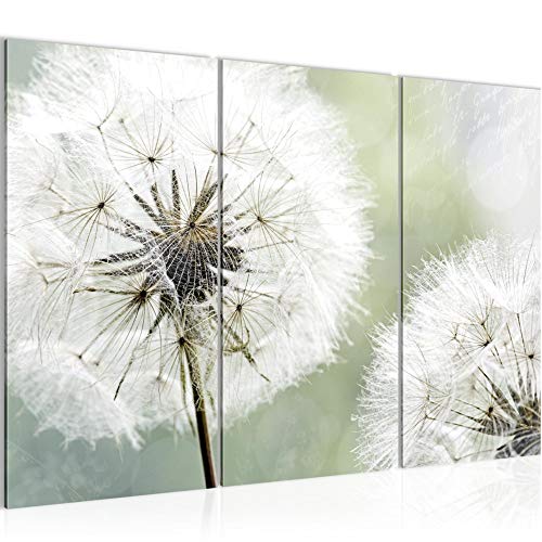 Runa Art Wandbilder Pusteblume Bild XXL Wohnzimmer Schlafzimmer Grau Grün Natur 120 x 80 cm 3 Teilig 207131a von Runa Art