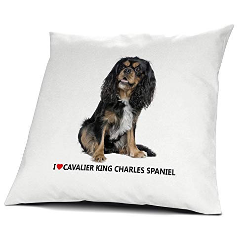 printplanet® Kopfkissen Cavalier King Charles Spaniel, Kissen mit Füllung I Love Cavalier King Charles Spaniel, 40 cm, 100% Baumwolle von printplanet