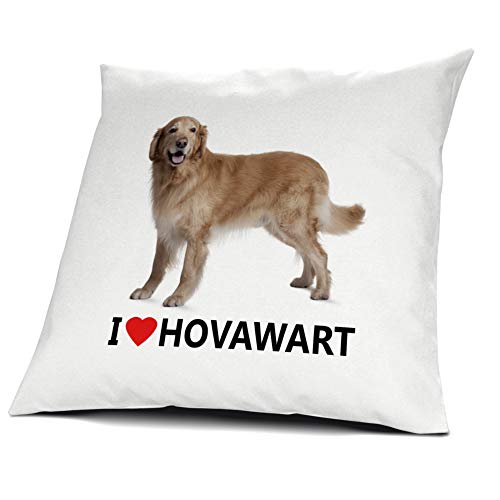 printplanet® Kopfkissen Hovawart, Kissen mit Füllung I Love Hovawart, 40 cm, 100% Baumwolle von printplanet