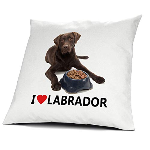 printplanet® Kopfkissen Labrador, Kissen mit Füllung I Love Labrador, 40 cm, 100% Baumwolle von printplanet