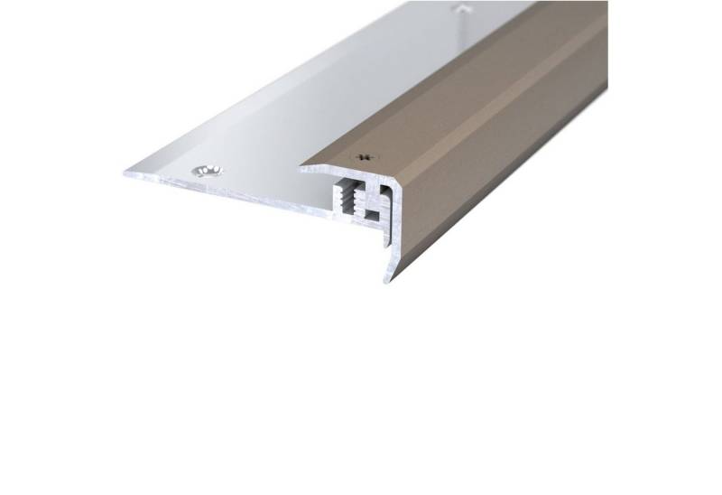 prinz Übergangsprofil Prinz DESIGN-STEP Schraubprofil Nr. 331, 100 cm von prinz