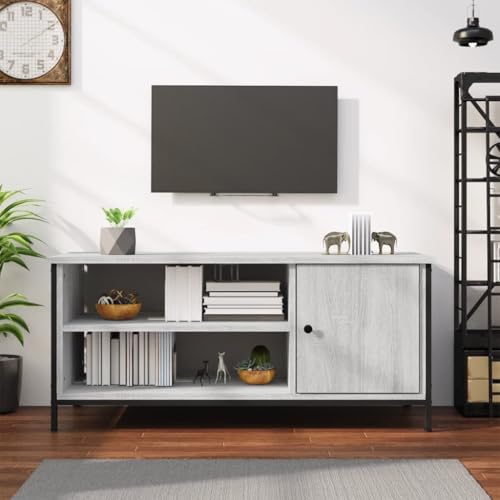 prissent Fernsehschrank Lagerschrank Multifunktionale Möbel für Schlafzimmer Wohnzimmer oder Büro Stilvollen Design Grau Sonoma 100x40x45 cm prissent Fernsehschrank Lagerschrank Multifunktionale Möbel für Schlafzimmer Wohnzimmer oder Büro Stilvollen Design Grau Sonoma 100x40x45 cm von prissent