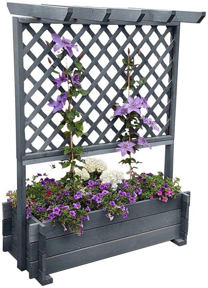 promadino Rankhilfe, Rankkasten mit Pergola, BxTxH: 112x65x139 cm von promadino