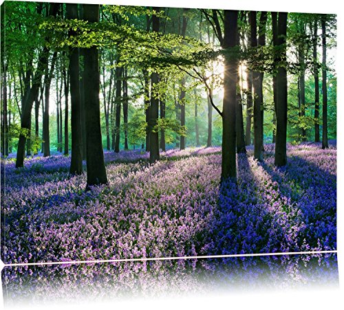 TOPSELLER Wandbilder (Lavendel im Wald 120x80cm) Ruhe Stille Harmonie Bilder fertig gerahmt auf Keilrahmen xxl. Kunstdruck auf Leinwand. Günstig inkl Rahmung von ps-art