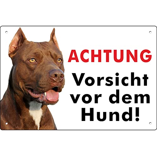 PUBBLIMANIA PITBULL ACHTUNG vorsicht vor dem Hund! Aluminium-Verbundschild für den Außen- und Innenbereich, 3 mm stark (Pitbull Cm 20x30) von pubblimania