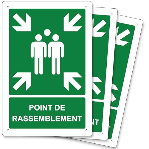 pubblimania 3 Sammelpunkte, Sicherheitsschild aus Aluminium, Metall, 3 mm dick (cm² 20 x 30) (Sammelpunkt) (Set mit 3 Sammelpunkten) von pubblimania