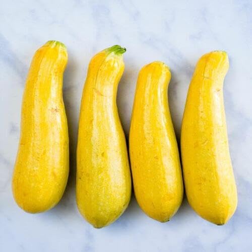 Frische Kürbis-Gemüsesamen, 40 Stück, Gelb Frische Kürbis-Gemüsesamen, 40 Stück, Gelb von punikondra