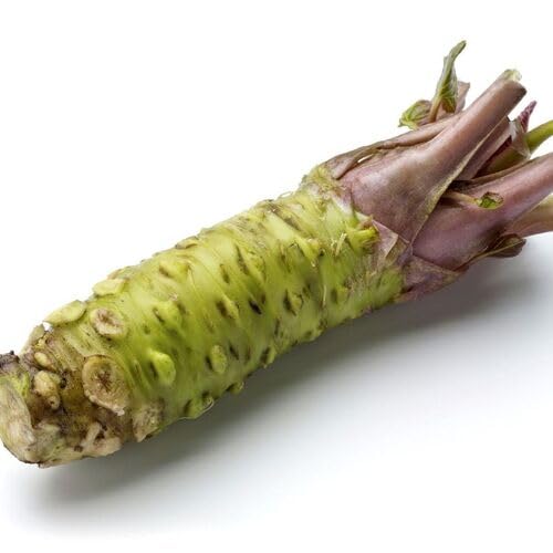 Frische Wasabi-Gemüsesamen, 50 Stück, Grün Frische Wasabi-Gemüsesamen, 50 Stück, Grün von punikondra