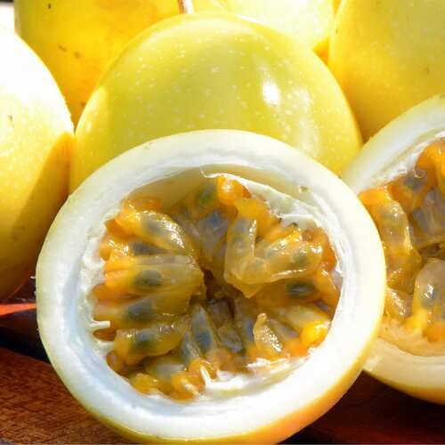 Frische neue Passionsfruchtsamen, 70 Stück, gelb Frische neue Passionsfruchtsamen, 70 Stück, gelb von punikondra
