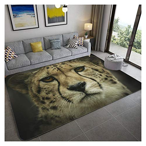 qazwsx Mode Leopard Muster Teppich Auf Dem Boden 3D Tier Gedruckt Matte Absorbieren rutschfeste Großen Teppich Wohnzimmer Kinderzimmer Teppich (Color : 5, Size : 60x90cm) von qazwsx