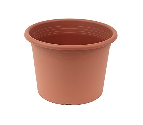 Megaplastic Pflanzkübel Cylinder (50 cm, Terracotta) von qdwq-US