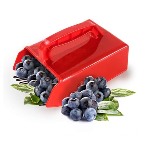 qixeuoa Beerenpflücker,Blaubeerpflücker Schaufel Werkzeug,Beerenkamm Metallmit Griff,Zum Pflücken Von Himbeeren,Brombeeren,Heidelbeeren,Johannisbeeren von qixeuoa
