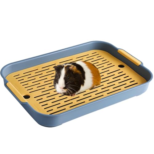 qixeuoa Kaninchentoilette - Haustier-Toiletten-Töpfchentablett mit Drainage | Heimtierbedarf für Chinchillas, Meerschweinchen, Kätzchen, Katzen und andere kleine Haustiere qixeuoa Kaninchentoilette - Haustier-Toiletten-Töpfchentablett mit Drainage | Heimtierbedarf für Chinchillas, Meerschweinchen, Kätzchen, Katzen und andere kleine Haustiere von qixeuoa