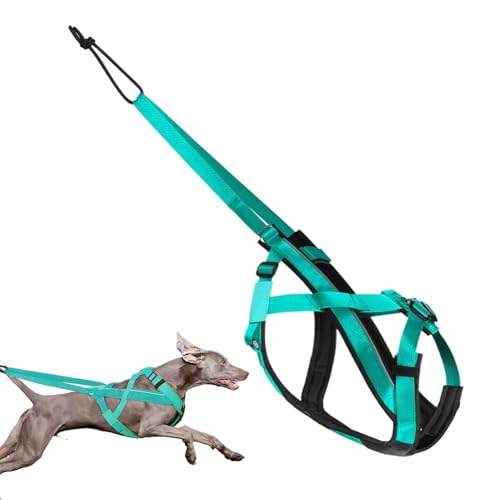 qixeuoa Schlittenhund Geschirr,Reflektierendes Laufgeschirr Für Hunde - Komfortables Verstellbares Gurtzeug Für Schlitten Training Outdoor Aktivitäten von qixeuoa