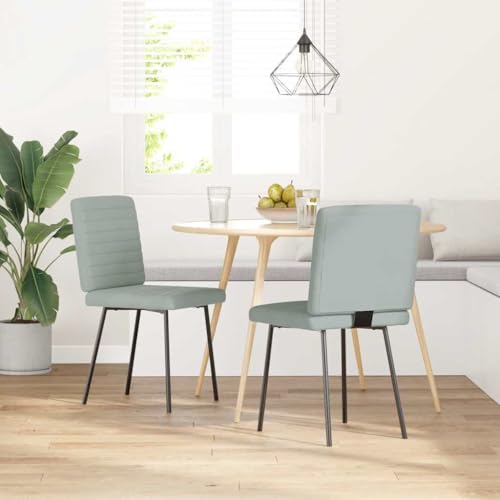 qohoio Esszimmerstühle 2 STK. EsszimmermöBel Esszimmerstuhl Dining Chair Esszimmer StüHle EsszimmerstüHlen Hellgrau Samt - 4101156 von qohoio