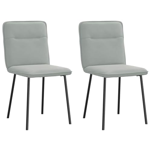 qohoio Esszimmerstühle 2 STK. EsszimmermöBel Esszimmerstuhl Dining Chair Esszimmer StüHle EsszimmerstüHlen Hellgrau Samt - 4101209 von qohoio