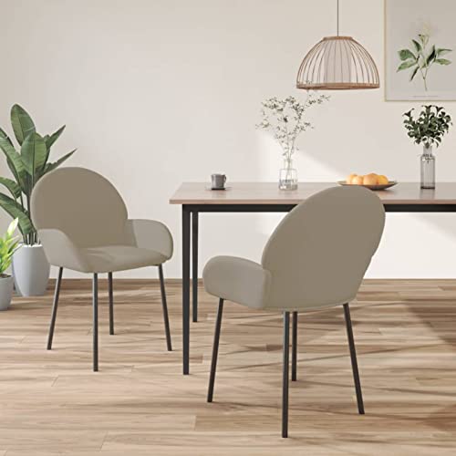 qohoio Esszimmerstühle 2 STK. EsszimmerstüHle StüHle Esszimmer Wohnzimmer MöBel Dining Chairs Essstuhl Hellgrau Samt von qohoio
