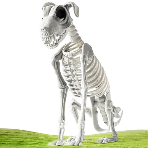 Halloween Skelett Hunde, Sitzendes Hunde Skelett Deko Mit Realistischen Zähnen, Schreckliche Und Merkwürdige Halloween Deko Für Draußen, Zuhause Und Spukhaus Halloween Skelett Hunde, Sitzendes Hunde Skelett Deko Mit Realistischen Zähnen, Schreckliche Und Merkwürdige Halloween Deko Für Draußen, Zuhause Und Spukhaus von qokeeu