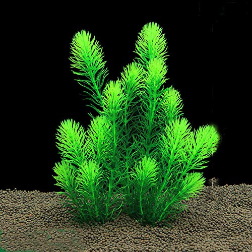 Quanjucheer Künstliches Wassergras für Aquarien, Landschaftsbau, Gulfweed Aquatic Simulation Pflanze Schachtelhalm Unkraut Dekoration grün von quanjucheer