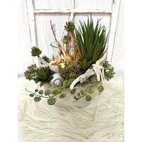 Maritime Tischdeko Mit Sukkulenten Und Teelicht - Haltbare Dekoidee Dekoliebe Terrassendeko Balkonien Gartendeko Dekoset Nr. 1232 von quedeko