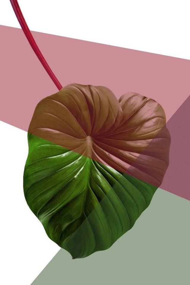 queence Acrylglasbild Blätter von queence