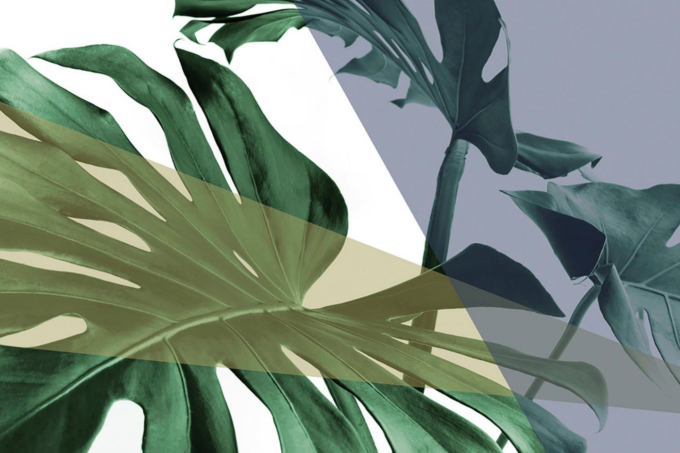 queence Acrylglasbild Blätter von queence