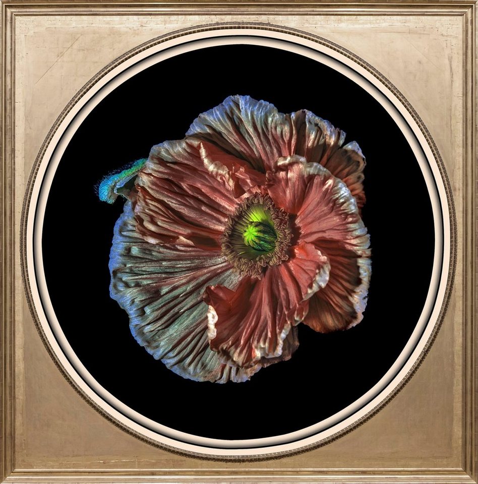 queence Acrylglasbild Blume von queence