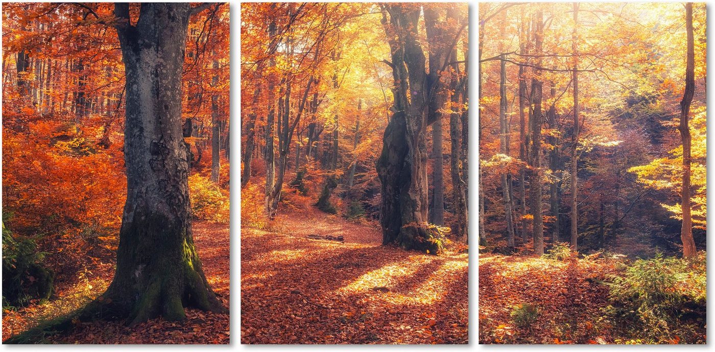 queence Acrylglasbild Herbstwald 3-teilig, Wald (1 St) von queence