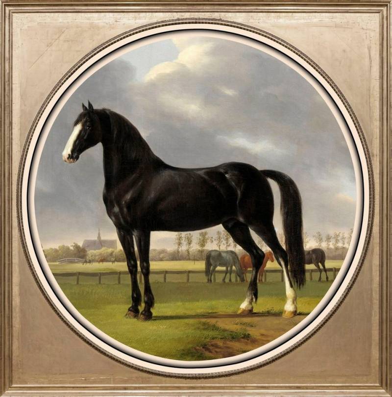 queence Acrylglasbild Pferd von queence