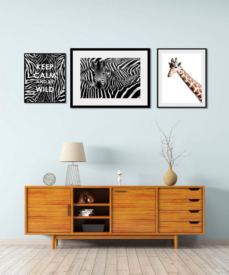 queence Bild Animals, Abstrakt, Giraffe, Giraffen, Giraffen Bilder, Motivationsbilder, Schriftzug, Sprüche & Texte (3 St), gerahmt von queence