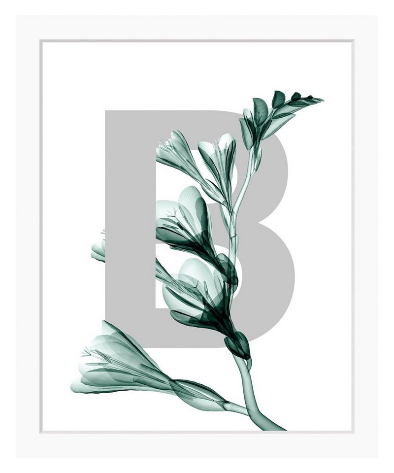 queence Bild B-Flower 2.0, Buchstaben, Blume, Blätter, gerahmt von queence