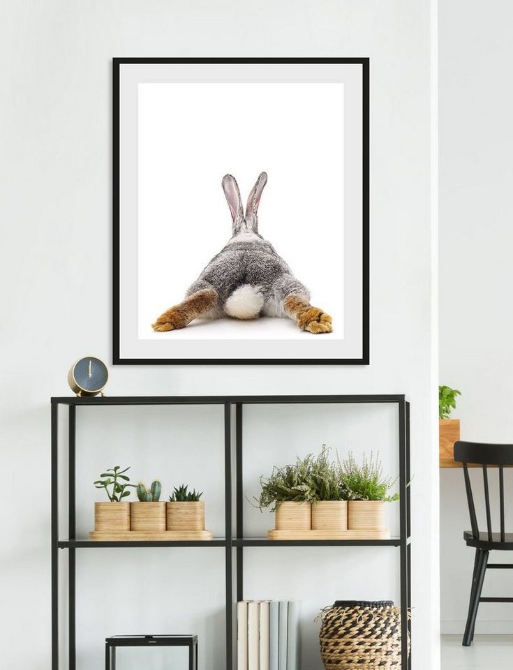 queence Bild Bunny Tail, Foto, Hase, Hasen, Haustiere, Humor (1 St), HD Premium Poster-Druck inkl. Holzrahmen von queence