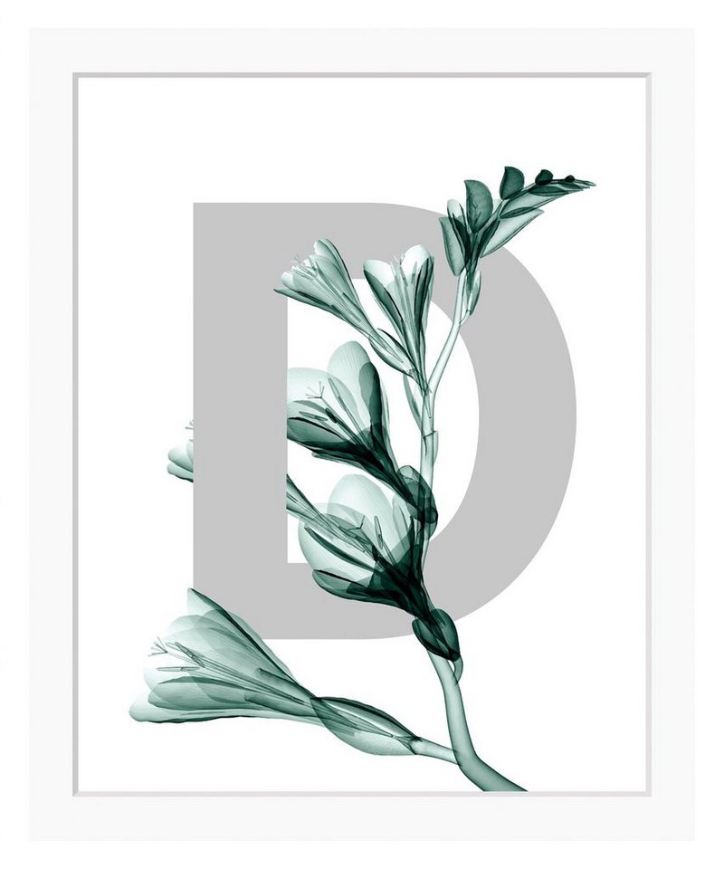 queence Bild D-Flower, Buchstaben, Blume, Blätter, gerahmt von queence