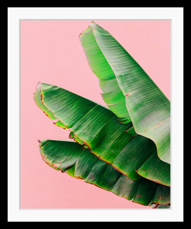 queence Bild Greta, HD Premium Poster-Druck inkl. Holzrahmen queence Bild Greta, HD Premium Poster-Druck inkl. Holzrahmen von queence