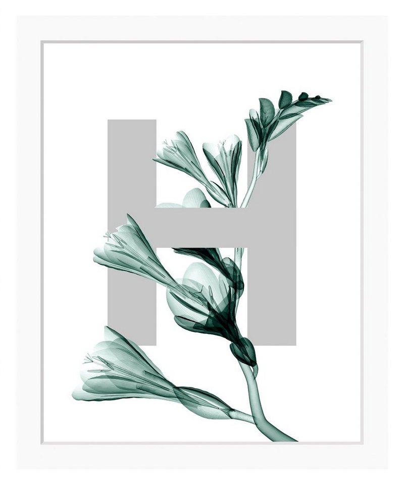 queence Bild H-Flower, Buchstaben, Blätter, gerahmt, Blume von queence