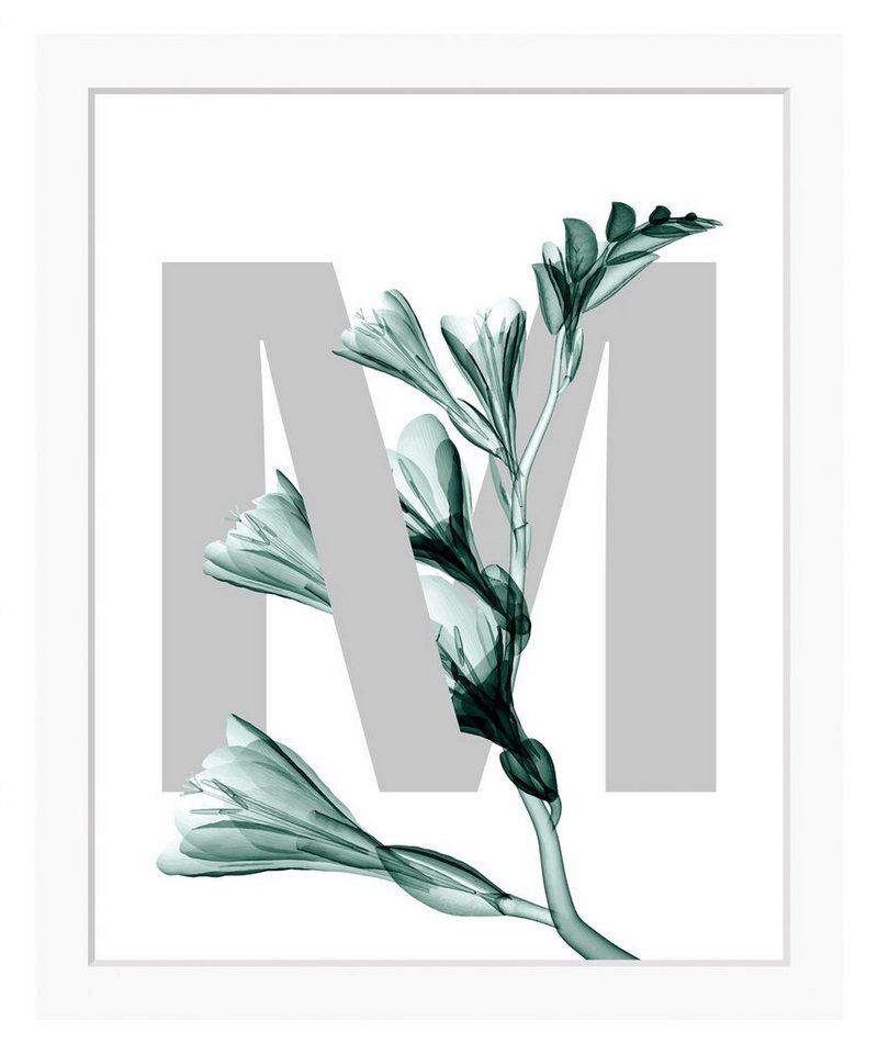 queence Bild M-Flower, Buchstaben, Blume, gerahmt, Blätter von queence