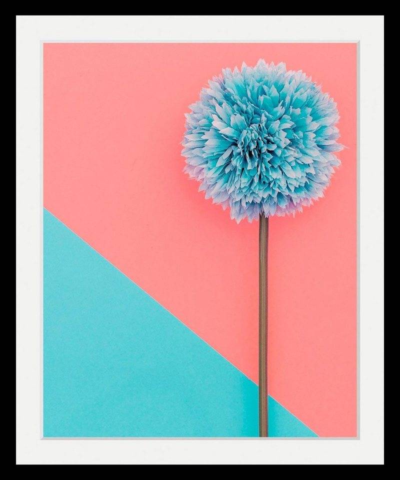 queence Bild Pusteblume, Blumen, Blumenbilder, Kunst, Pflanzen, HD Premium Poster-Druck inkl. Holzrahmen von queence