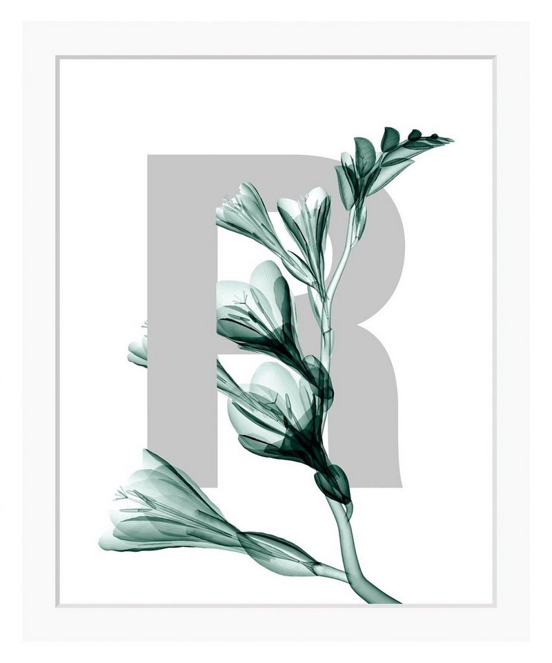 queence Bild R-Flower, Buchstaben, Blätter, gerahmt, Blume von queence