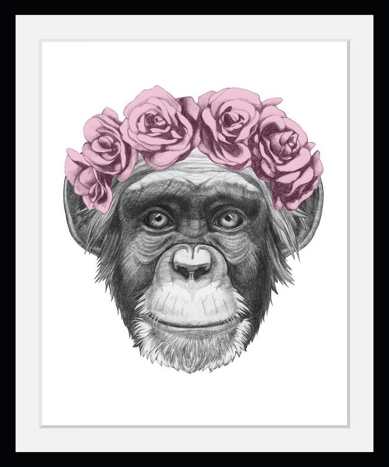 queence Bild mit Rahmen Affenmotive - Affensprüche - Gerahmter Digitaldruck - Wandbild, Affe mit Rosen (1 St), Holzrahmen - Dekoration - Schwarzer Rahmen - in verschiedenen Größen von queence