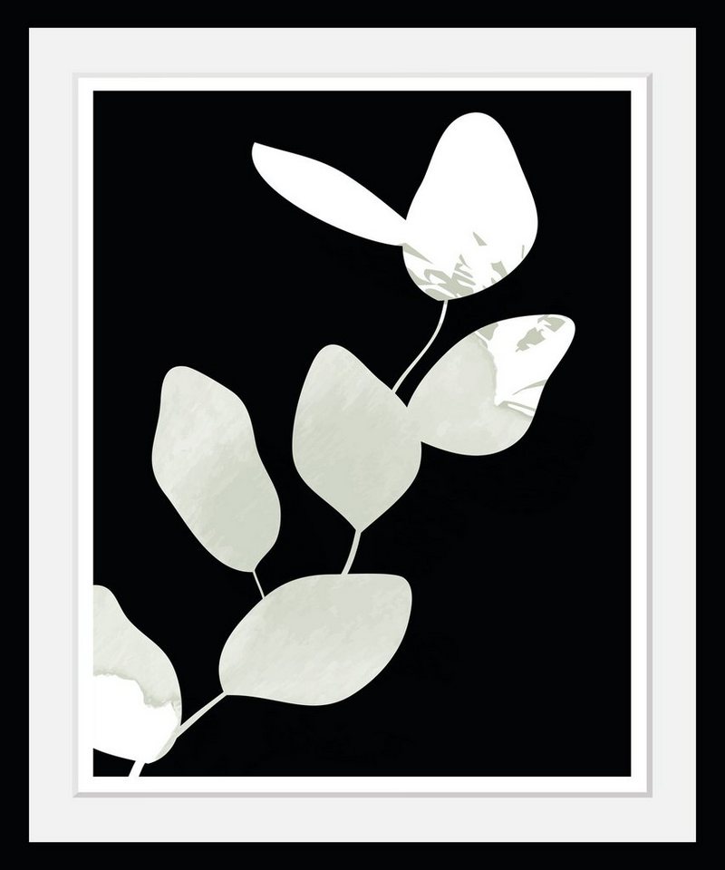 queence Bild mit Rahmen Pflanzen - Blätter - Leaves - Gerahmter Digitaldruck - Wandbild, Eukalyptus (1 St), Holzrahmen - Dekoration - Schwarzer Rahmen - in verschiedenen Größen von queence