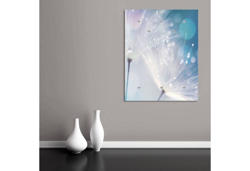 queence Garderobenleiste Dandelion, Wand Garderobe, Pflanze, Pusteblume, platzsparend von queence