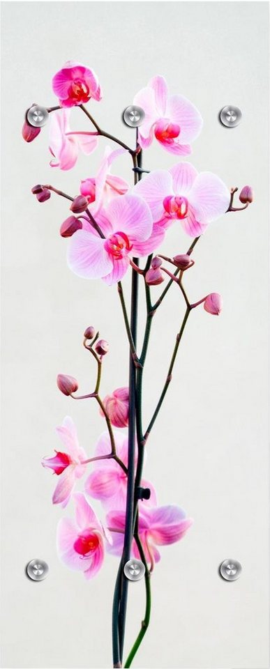 queence Garderobenleiste Orchidee, mit 6 Haken, 50 x 120 cm von queence