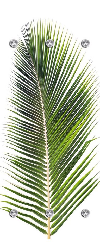 queence Garderobenleiste Palme, mit 6 Haken, 50 x 120 cm von queence