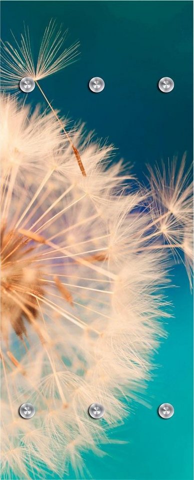 queence Garderobenleiste Pusteblume in groß, mit 6 Haken, 50 x 120 cm von queence