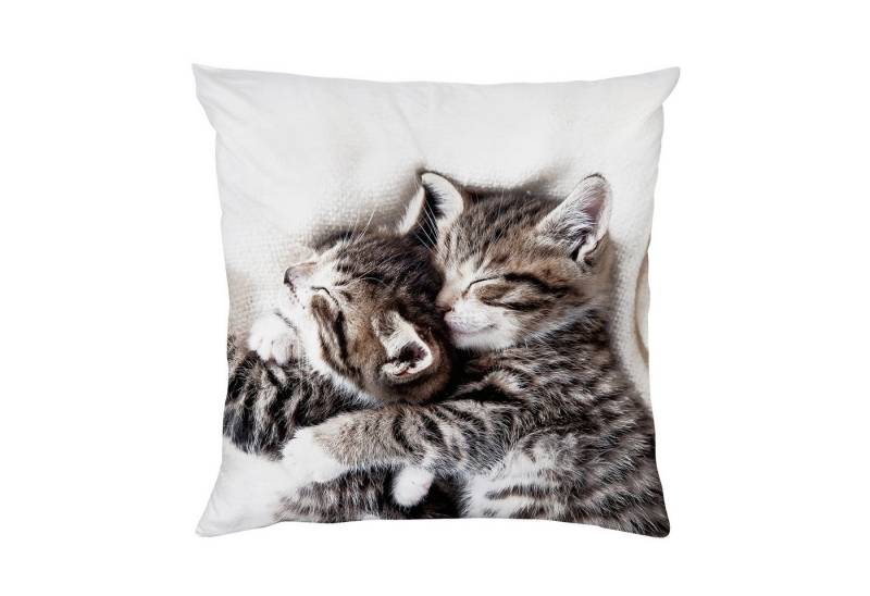queence Kissenbezug Dekokissen "Niedliche Katzenbabies" Kuschelkissen Tierbaby, Katzenbaby, geruchsneutral, 40x40cm queence Kissenbezug Dekokissen "Niedliche Katzenbabies" Kuschelkissen Tierbaby, Katzenbaby, geruchsneutral, 40x40cm von queence